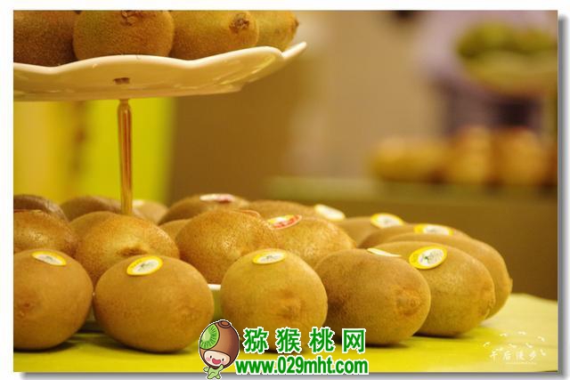 PG国际官方网站图片