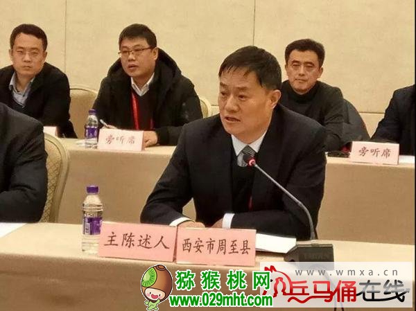 PG国际官方网站图片