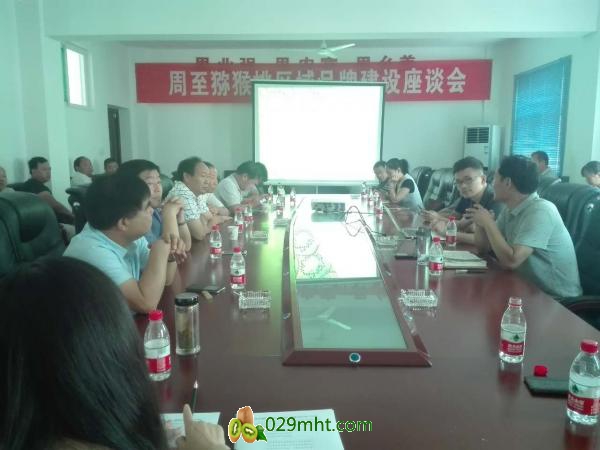 PG国际官方网站图片