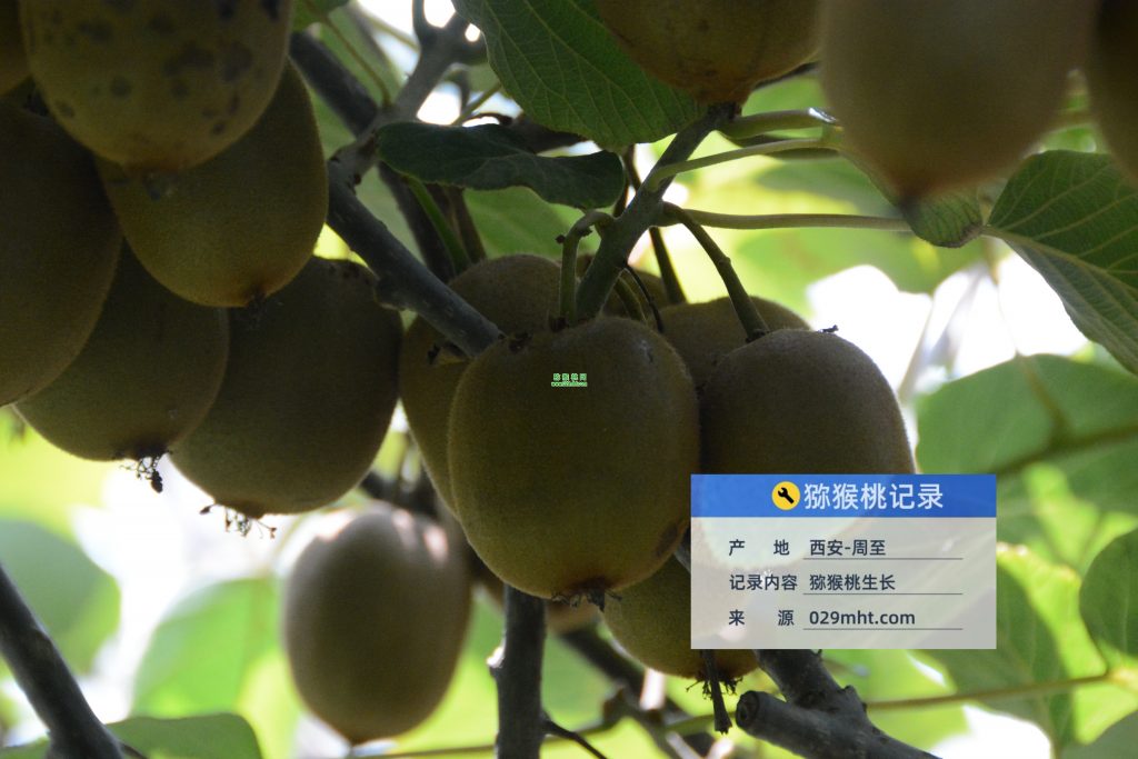 PG国际官方网站图片