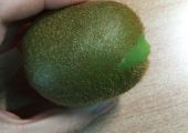 PG国际猕猴桃文艺郑皓之：母亲的绣床