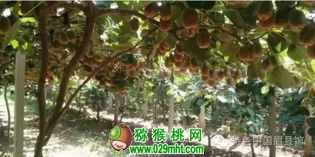 PG国际官方网站图片