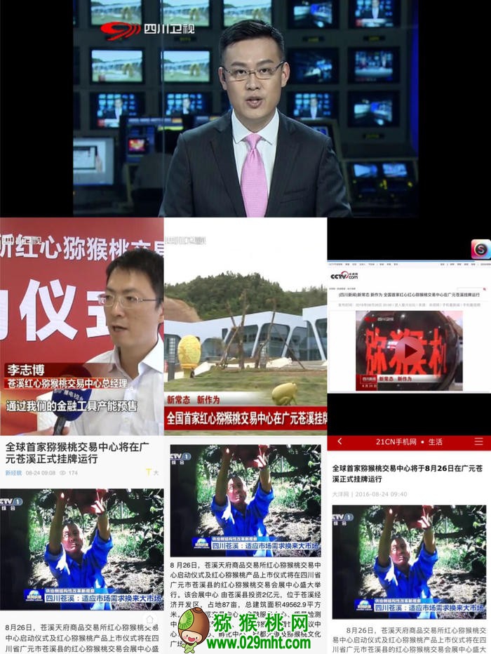 PG国际官方网站图片