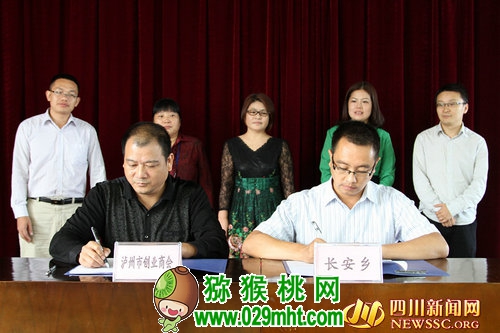 PG国际官方网站图片