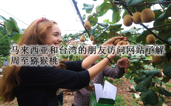 PG国际官方网站图片