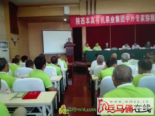 PG国际官方网站图片