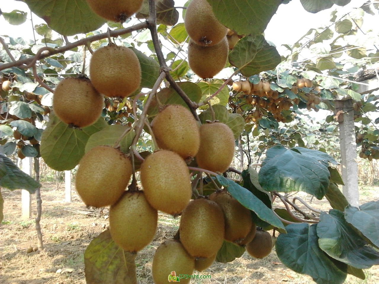 PG国际 4b640