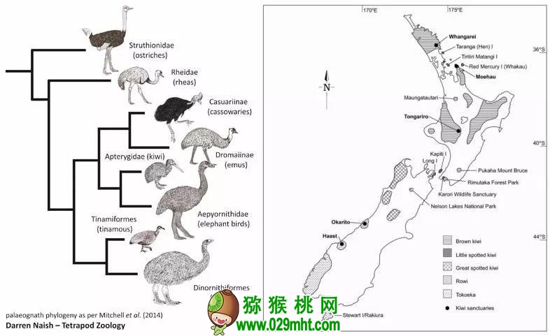 PG国际官方网站图片