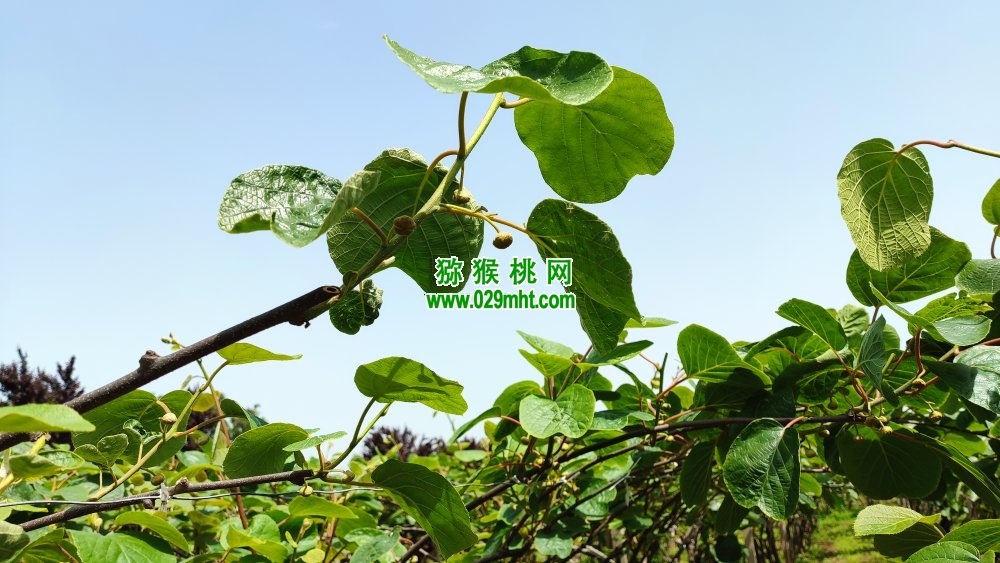 PG国际 1b8f0