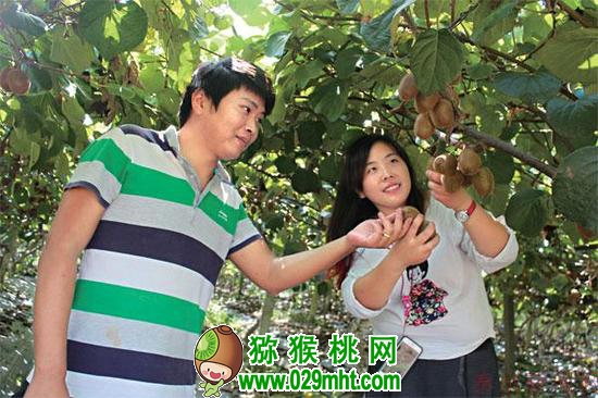 PG国际官方网站图片