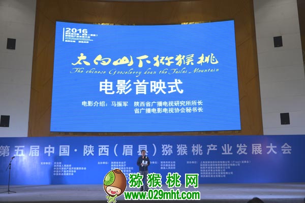 PG国际官方网站图片