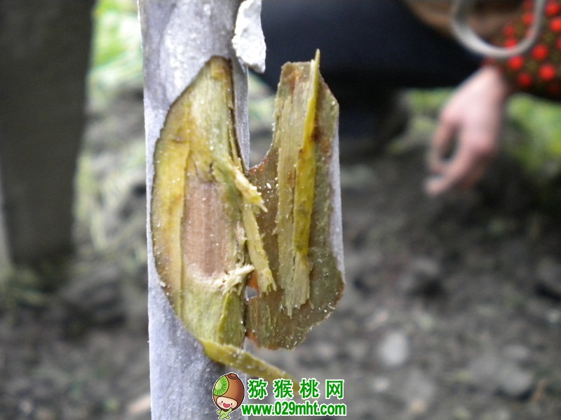 PG国际官方网站图片