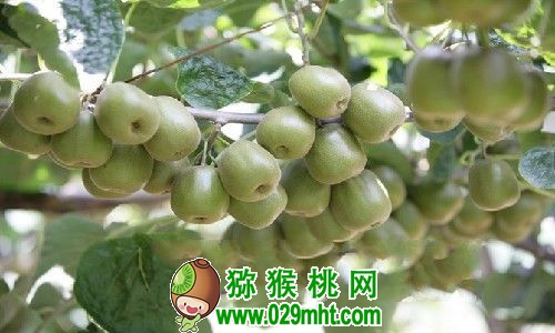 PG国际官方网站图片