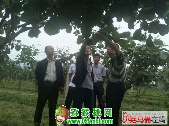 PG国际 5a2da