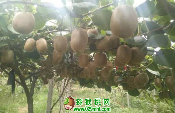 PG国际官方网站图片
