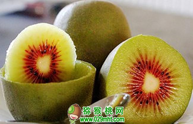 PG国际官方网站图片