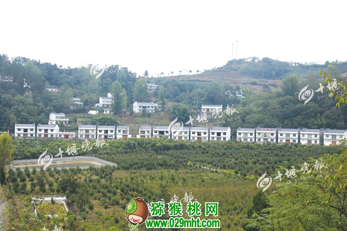 PG国际官方网站图片