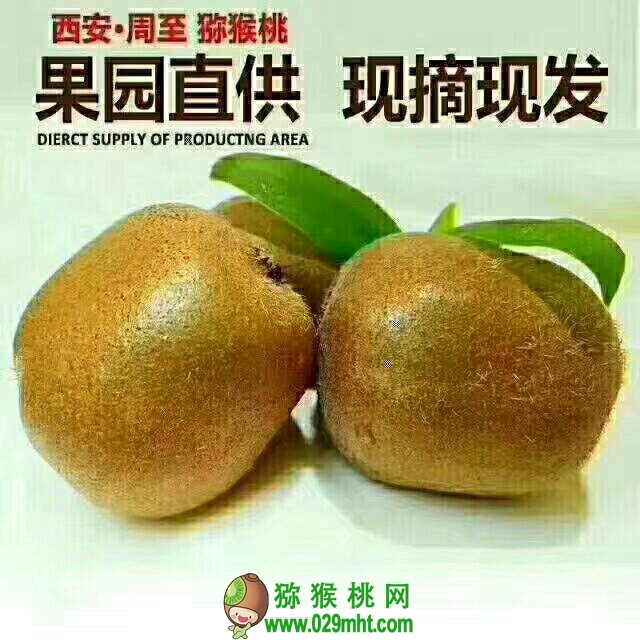 PG国际 4fb8d