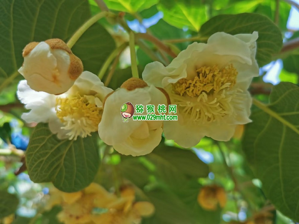 PG国际官方网站图片