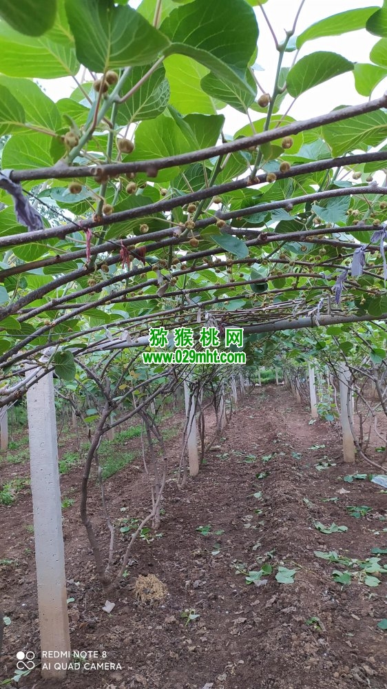 PG国际 4f8f1