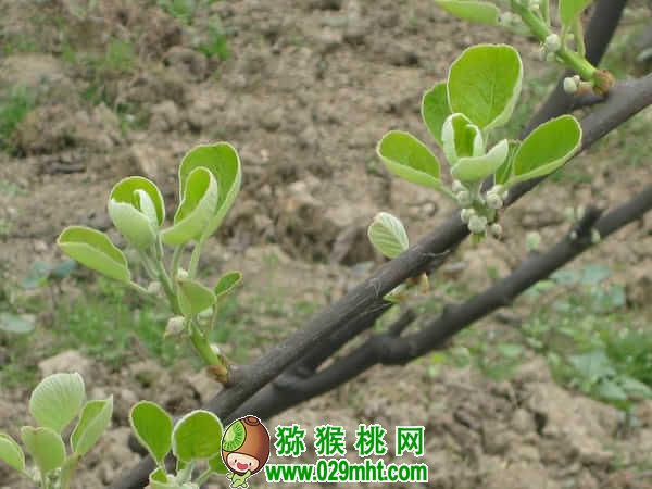PG国际官方网站图片