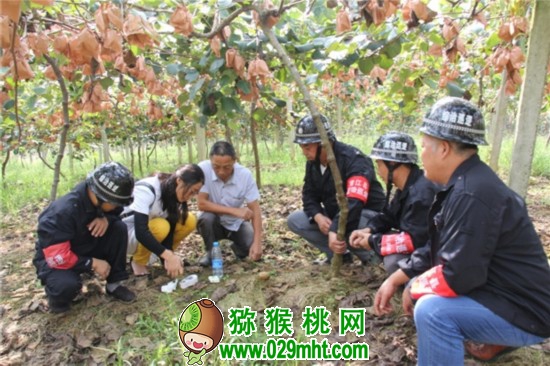 PG国际官方网站图片