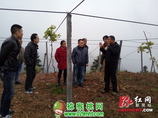PG国际官方网站图片