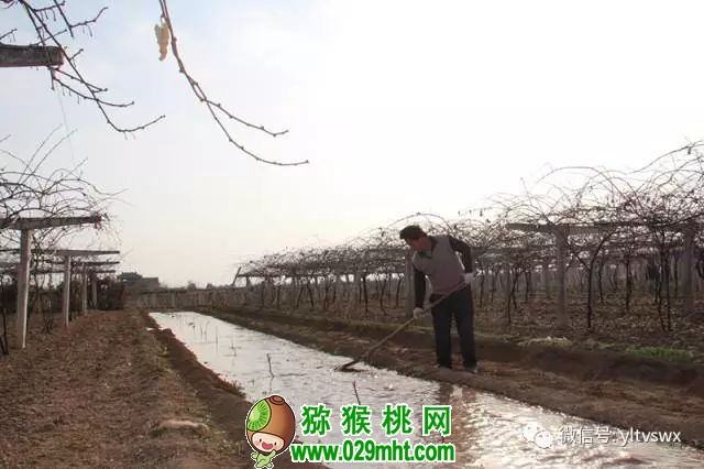 PG国际官方网站图片