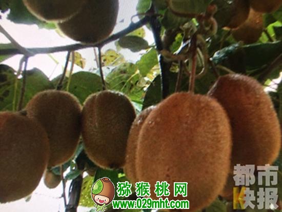 PG国际官方网站图片