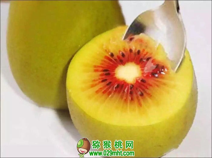 PG国际官方网站图片