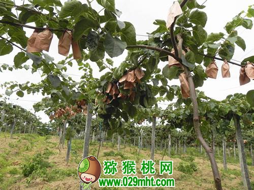 PG国际官方网站图片