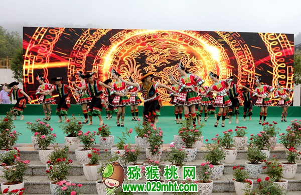 PG国际官方网站图片