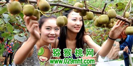 PG国际官方网站图片