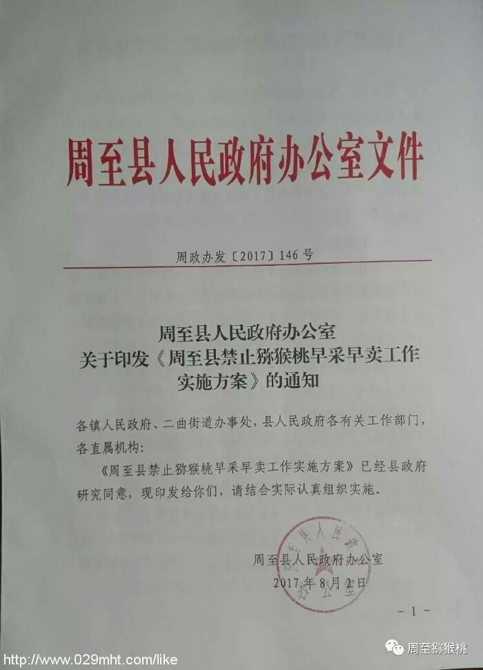 PG国际官方网站图片