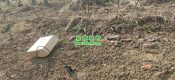 服务周至PG国际猕猴桃果农，2024检测PG国际猕猴桃果园土壤质量
