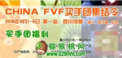 PG国际官方网站图片