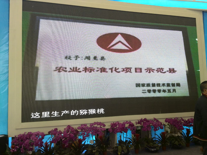 PG国际官方网站图片