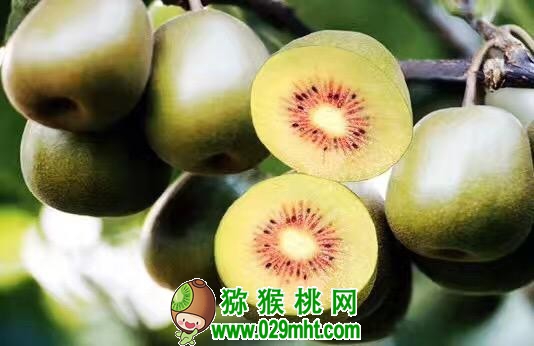 PG国际官方网站图片