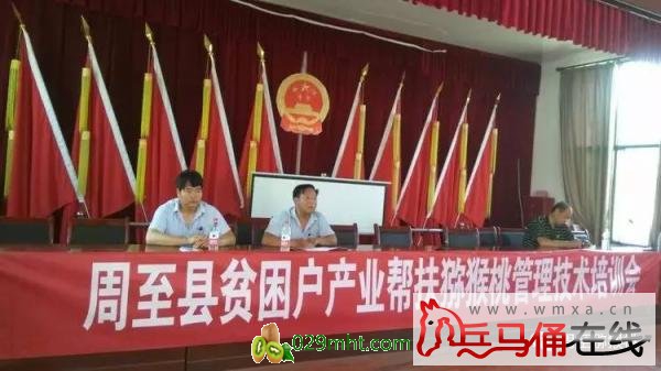 PG国际官方网站图片