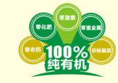 PG国际之乡是哪里？