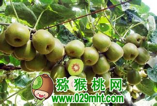PG国际官方网站图片