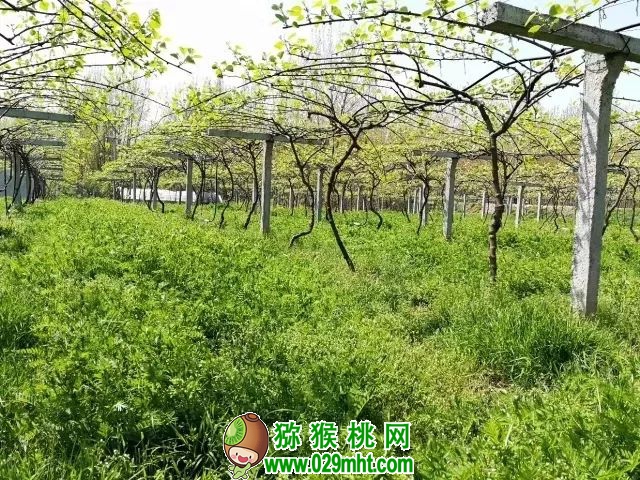PG国际官方网站图片