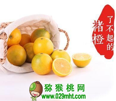 PG国际官方网站图片