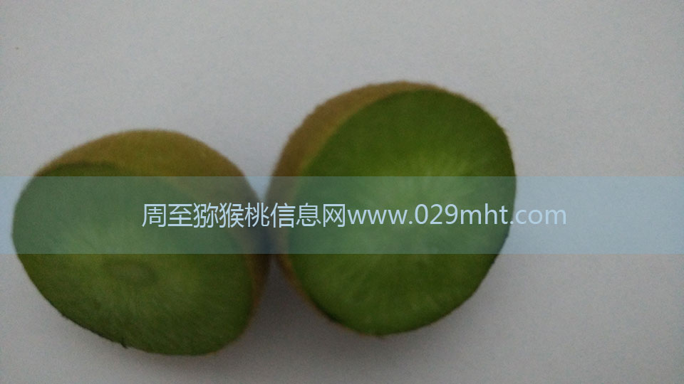 PG国际猕猴桃6月剖视图3.jpg