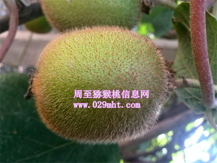 PG国际官方网站图片