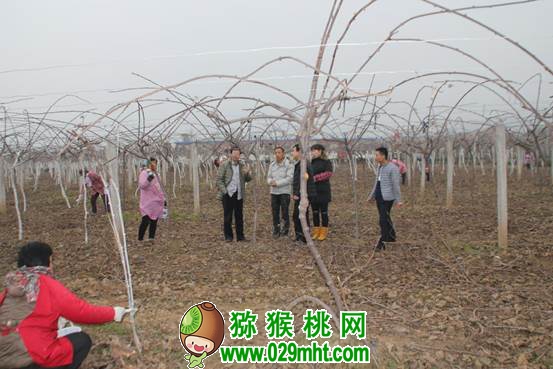 PG国际官方网站图片