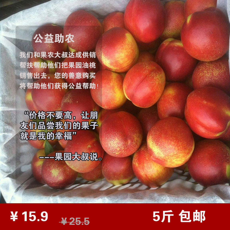 PG国际 d29f5