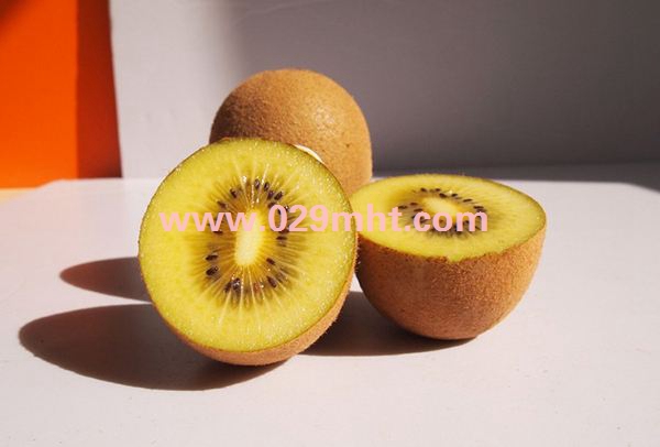 mht02.jpg
