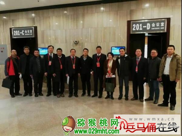 PG国际官方网站图片