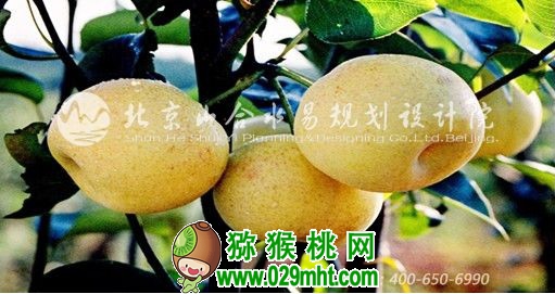 PG国际官方网站图片